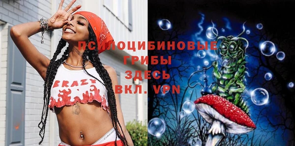 a pvp Алзамай
