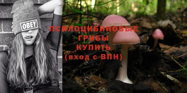 синтетический гашиш Алексеевка