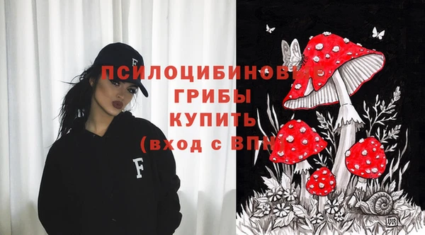 a pvp Алзамай